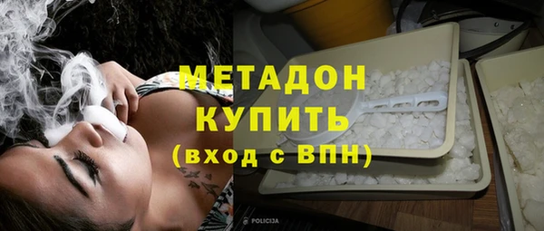 индика Горняк