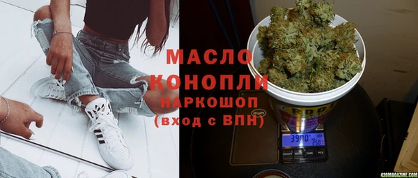 индика Горняк
