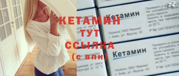 индика Горняк