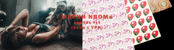 индика Горняк