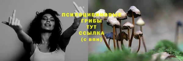 кокс Гусь-Хрустальный