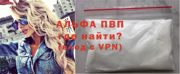 индика Горняк