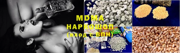 индика Горняк