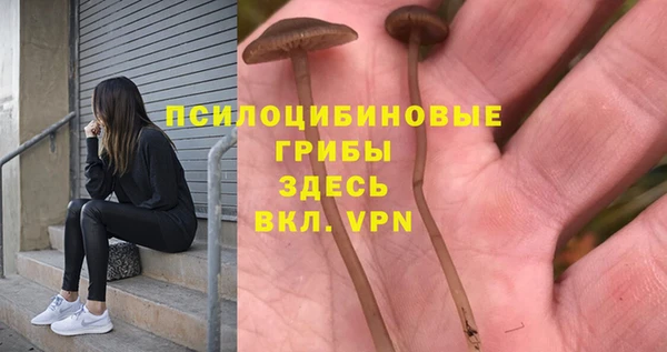 индика Горняк