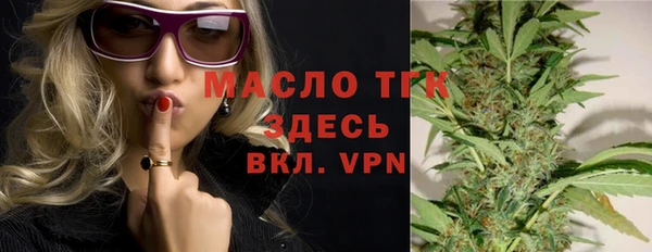 индика Горняк