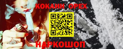 a pvp Бийск