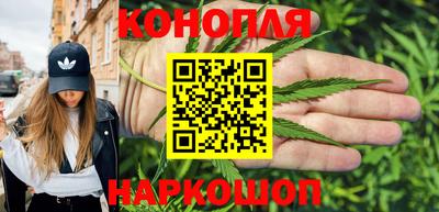 a pvp Бийск