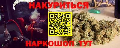a pvp Бийск
