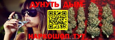 прущие крисы Берёзовский