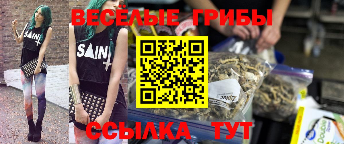 Дзержинский  Псилоцибиновые грибы ЛСД  где купить   Вход с VPN 