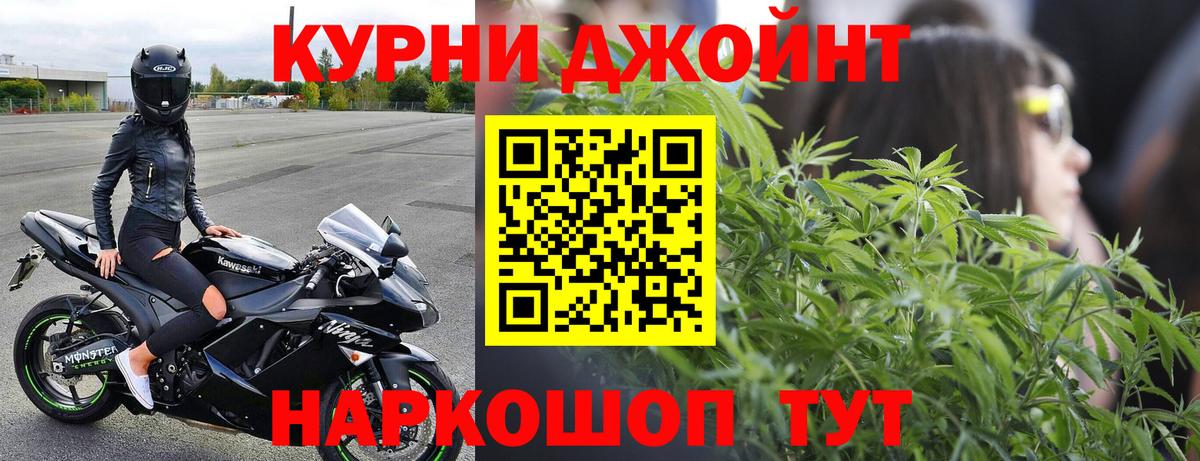 Каннабис планчик  Каннабис OG Kush  Каннабис гибрид  Дзержинский 